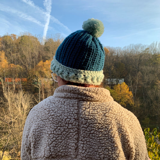 Cat stands facing away from the camera wearing a hat made of teal and aqua acrylic yarn against the background of a winter woods.