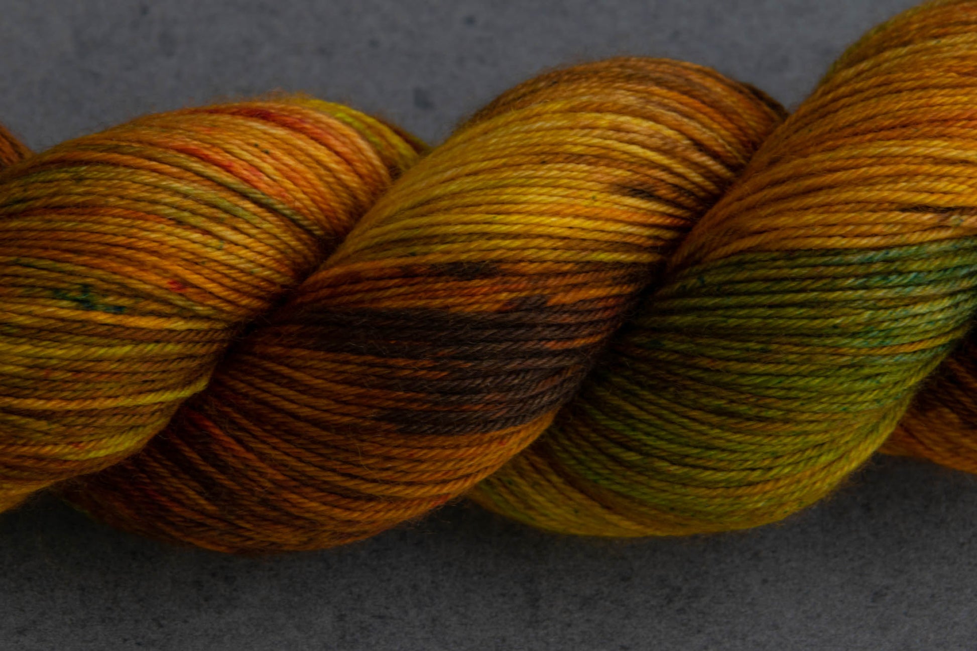 Closeup of the variegation of Daydream Believer.