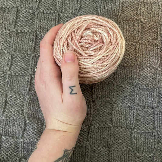 Cat holds a cake of Pink Pibble hand-dyed yarn.