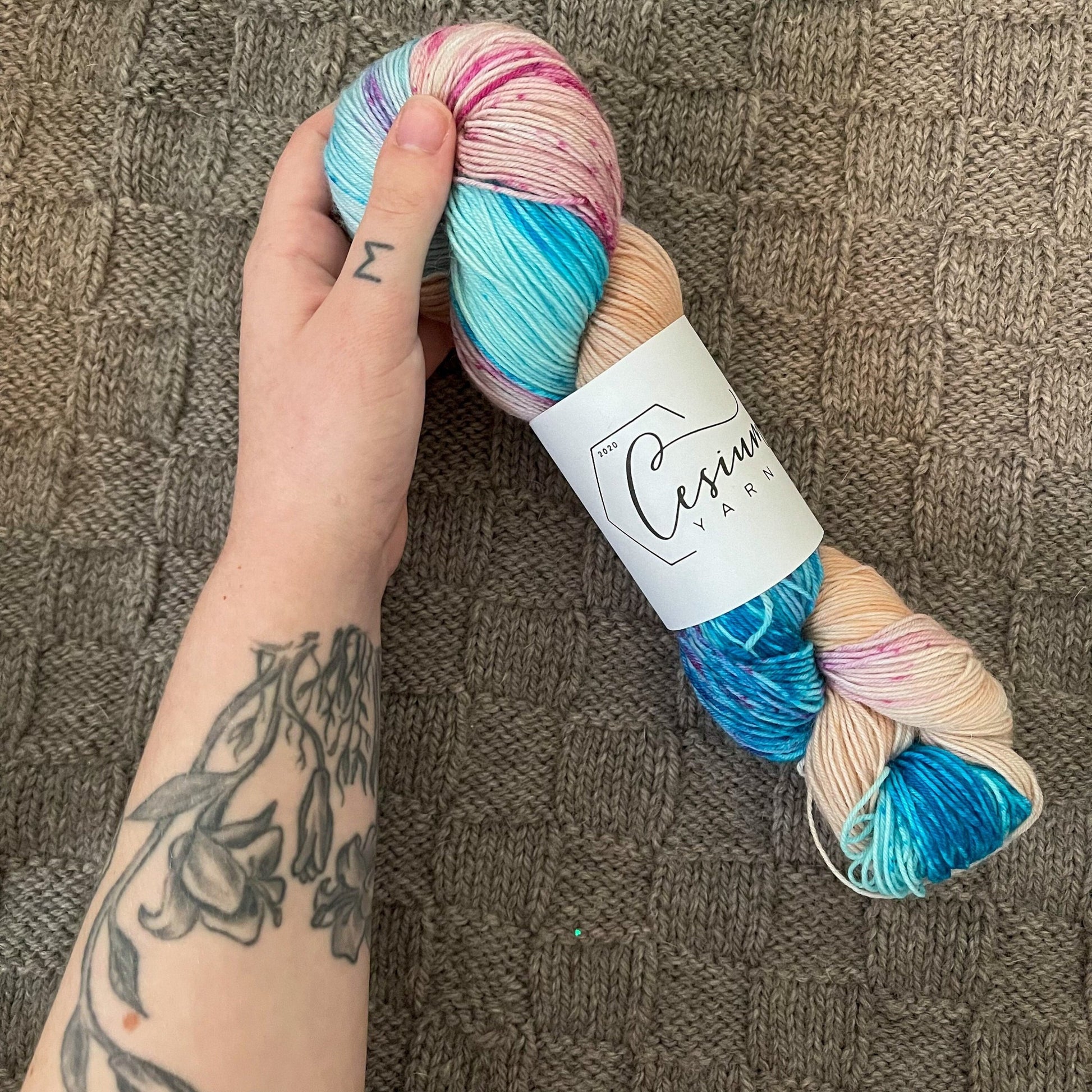 Cat holds a skein of Teresina hand-dyed yarn.